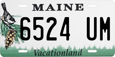 ME license plate 6524UM