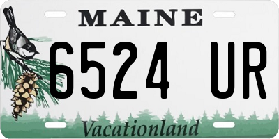 ME license plate 6524UR