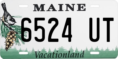 ME license plate 6524UT