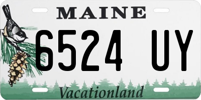 ME license plate 6524UY