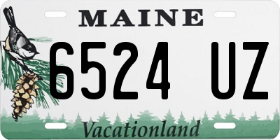 ME license plate 6524UZ