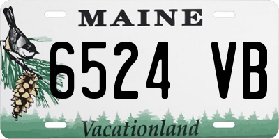 ME license plate 6524VB