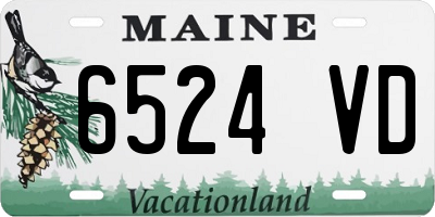 ME license plate 6524VD