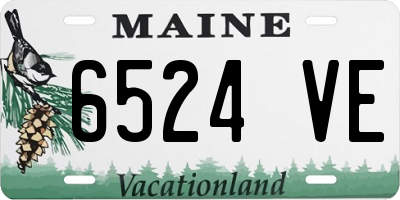 ME license plate 6524VE