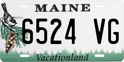 ME license plate 6524VG