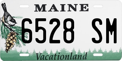 ME license plate 6528SM