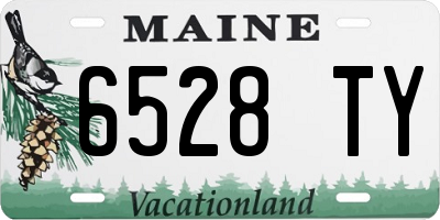 ME license plate 6528TY
