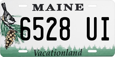 ME license plate 6528UI