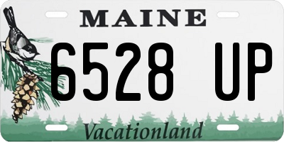 ME license plate 6528UP