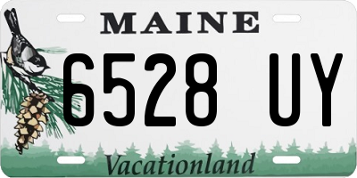 ME license plate 6528UY