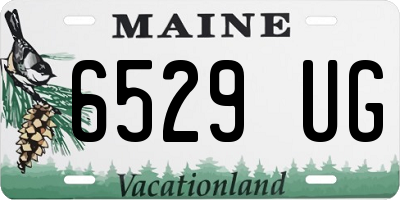 ME license plate 6529UG