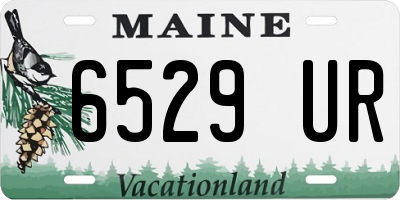 ME license plate 6529UR