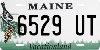 ME license plate 6529UT