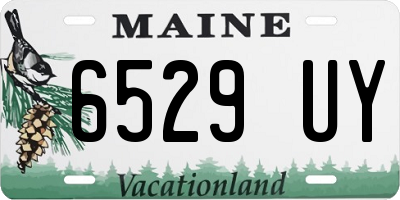 ME license plate 6529UY