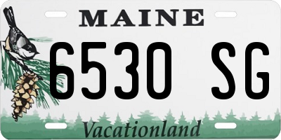 ME license plate 6530SG