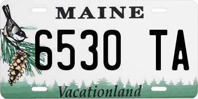 ME license plate 6530TA