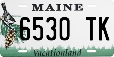 ME license plate 6530TK