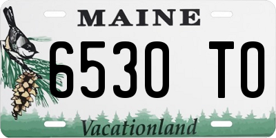 ME license plate 6530TO