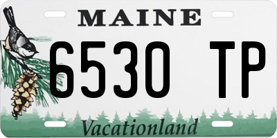 ME license plate 6530TP