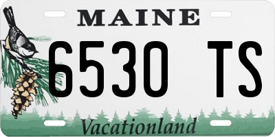 ME license plate 6530TS