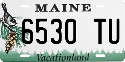 ME license plate 6530TU