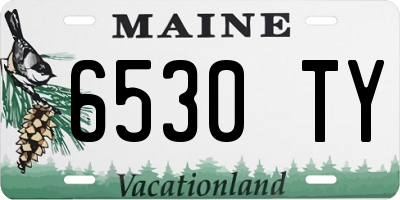 ME license plate 6530TY