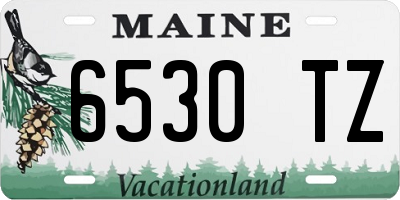 ME license plate 6530TZ