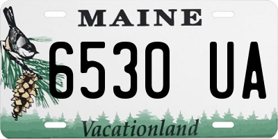 ME license plate 6530UA