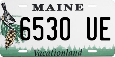 ME license plate 6530UE