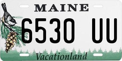 ME license plate 6530UU