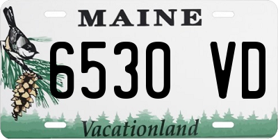 ME license plate 6530VD