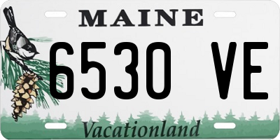 ME license plate 6530VE