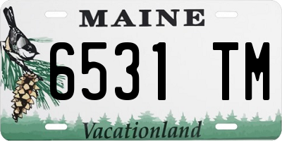 ME license plate 6531TM