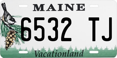 ME license plate 6532TJ