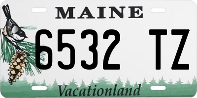 ME license plate 6532TZ