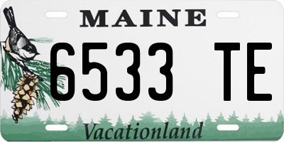 ME license plate 6533TE
