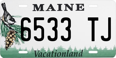 ME license plate 6533TJ