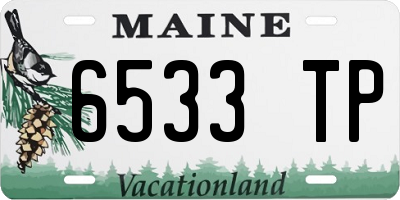 ME license plate 6533TP
