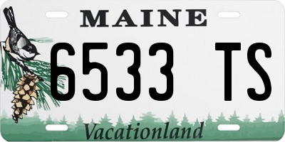 ME license plate 6533TS