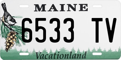 ME license plate 6533TV