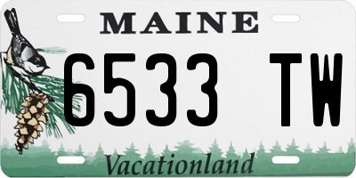 ME license plate 6533TW