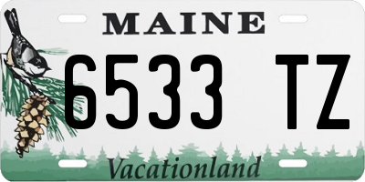 ME license plate 6533TZ