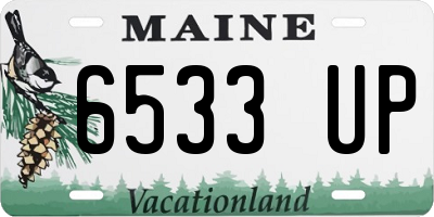 ME license plate 6533UP