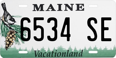 ME license plate 6534SE