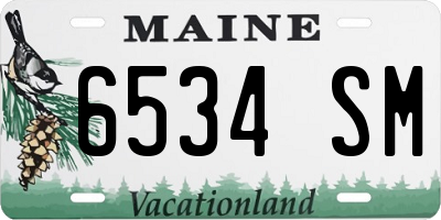 ME license plate 6534SM