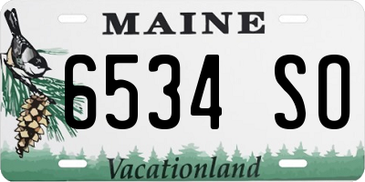 ME license plate 6534SO