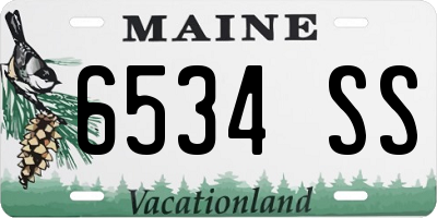 ME license plate 6534SS