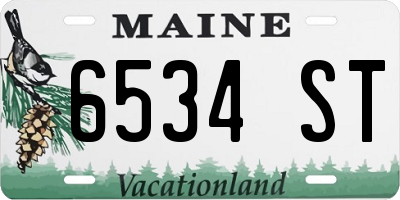 ME license plate 6534ST