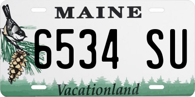 ME license plate 6534SU