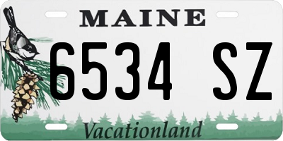 ME license plate 6534SZ